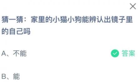 6月25日猜一猜家里的小猫小狗能辨认出镜子里的自己吗 6月25日猜一猜家里的小猫小狗能辨认出镜子里的自己吗
