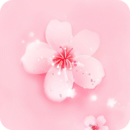桃花直播 桃花直播
