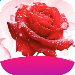 玫瑰视频app 玫瑰视频app